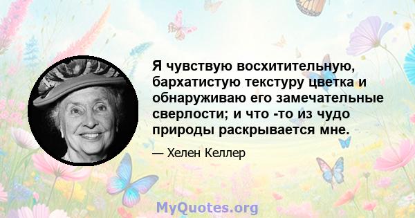 Я чувствую восхитительную, бархатистую текстуру цветка и обнаруживаю его замечательные сверлости; и что -то из чудо природы раскрывается мне.