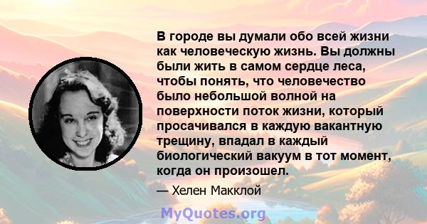 В городе вы думали обо всей жизни как человеческую жизнь. Вы должны были жить в самом сердце леса, чтобы понять, что человечество было небольшой волной на поверхности поток жизни, который просачивался в каждую вакантную 