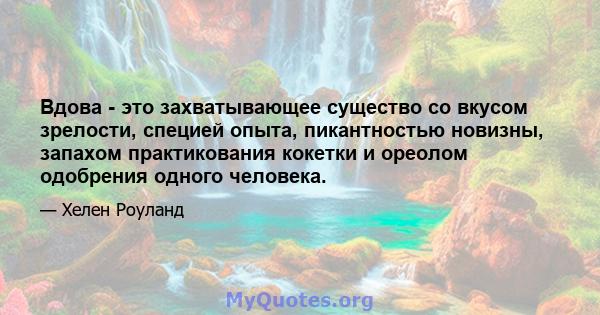 Вдова - это захватывающее существо со вкусом зрелости, специей опыта, пикантностью новизны, запахом практикования кокетки и ореолом одобрения одного человека.