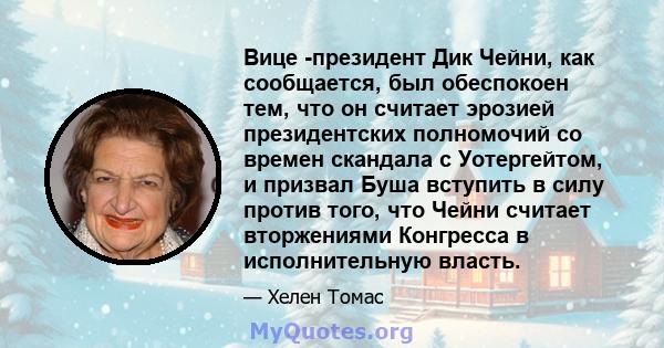 Вице -президент Дик Чейни, как сообщается, был обеспокоен тем, что он считает эрозией президентских полномочий со времен скандала с Уотергейтом, и призвал Буша вступить в силу против того, что Чейни считает вторжениями