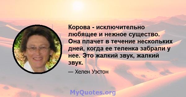 Корова - исключительно любящее и нежное существо. Она плачет в течение нескольких дней, когда ее теленка забрали у нее. Это жалкий звук, жалкий звук.