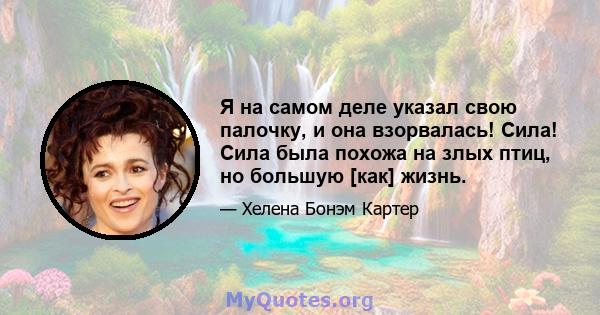 Я на самом деле указал свою палочку, и она взорвалась! Сила! Сила была похожа на злых птиц, но большую [как] жизнь.