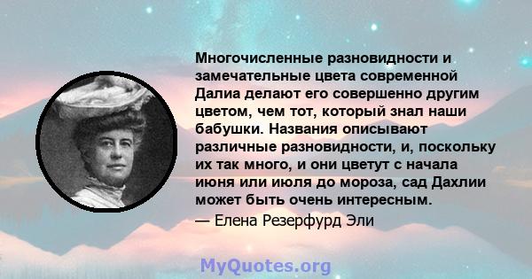 Многочисленные разновидности и замечательные цвета современной Далиа делают его совершенно другим цветом, чем тот, который знал наши бабушки. Названия описывают различные разновидности, и, поскольку их так много, и они