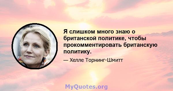 Я слишком много знаю о британской политике, чтобы прокомментировать британскую политику.