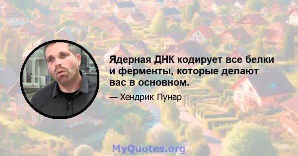 Ядерная ДНК кодирует все белки и ферменты, которые делают вас в основном.