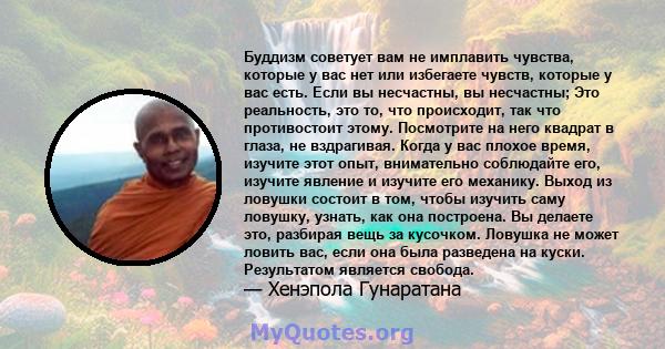 Буддизм советует вам не имплавить чувства, которые у вас нет или избегаете чувств, которые у вас есть. Если вы несчастны, вы несчастны; Это реальность, это то, что происходит, так что противостоит этому. Посмотрите на