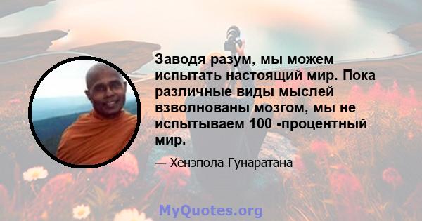 Заводя разум, мы можем испытать настоящий мир. Пока различные виды мыслей взволнованы мозгом, мы не испытываем 100 -процентный мир.