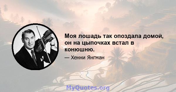 Моя лошадь так опоздала домой, он на цыпочках встал в конюшню.