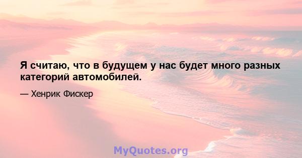 Я считаю, что в будущем у нас будет много разных категорий автомобилей.