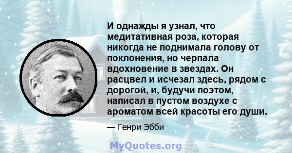 И однажды я узнал, что медитативная роза, которая никогда не поднимала голову от поклонения, но черпала вдохновение в звездах. Он расцвел и исчезал здесь, рядом с дорогой, и, будучи поэтом, написал в пустом воздухе с