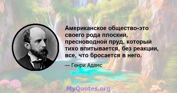 Американское общество-это своего рода плоский, пресноводной пруд, который тихо впитывается, без реакции, все, что бросается в него.