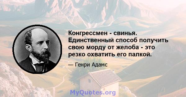 Конгрессмен - свинья. Единственный способ получить свою морду от желоба - это резко охватить его палкой.