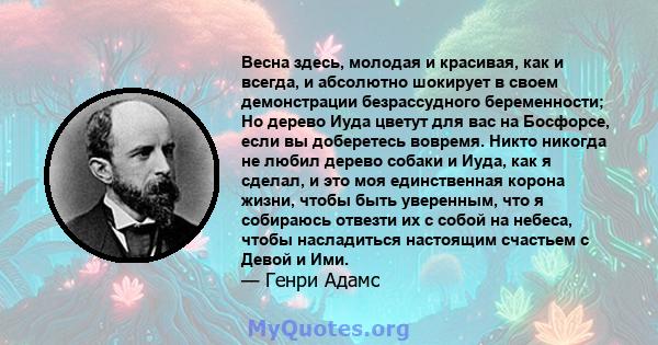 Весна здесь, молодая и красивая, как и всегда, и абсолютно шокирует в своем демонстрации безрассудного беременности; Но дерево Иуда цветут для вас на Босфорсе, если вы доберетесь вовремя. Никто никогда не любил дерево