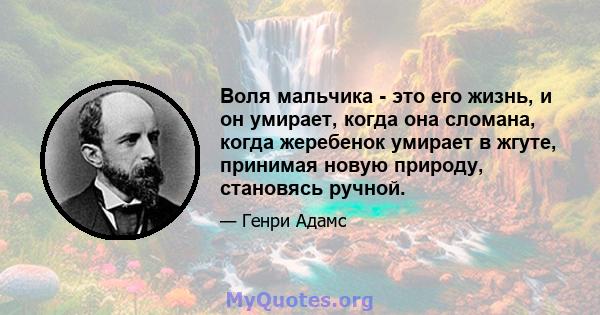 Воля мальчика - это его жизнь, и он умирает, когда она сломана, когда жеребенок умирает в жгуте, принимая новую природу, становясь ручной.