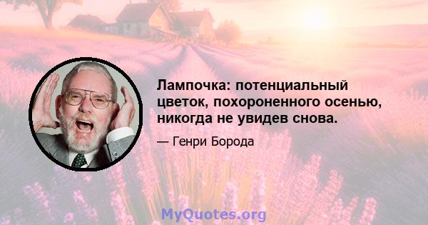 Лампочка: потенциальный цветок, похороненного осенью, никогда не увидев снова.