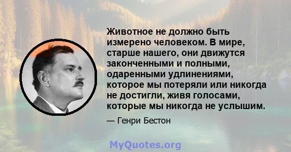 Животное не должно быть измерено человеком. В мире, старше нашего, они движутся законченными и полными, одаренными удлинениями, которое мы потеряли или никогда не достигли, живя голосами, которые мы никогда не услышим.