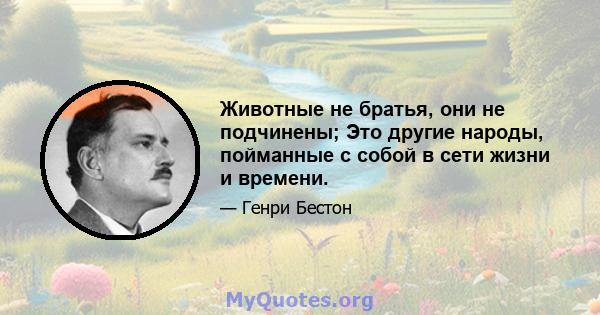 Животные не братья, они не подчинены; Это другие народы, пойманные с собой в сети жизни и времени.