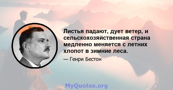 Листья падают, дует ветер, и сельскохозяйственная страна медленно меняется с летних хлопот в зимние леса.