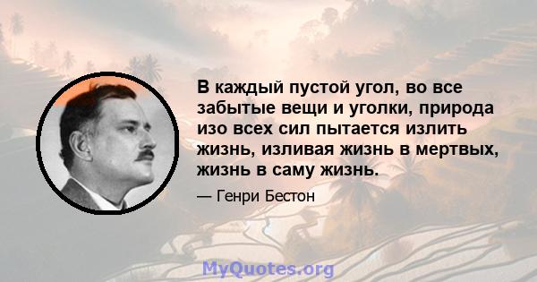 В каждый пустой угол, во все забытые вещи и уголки, природа изо всех сил пытается излить жизнь, изливая жизнь в мертвых, жизнь в саму жизнь.