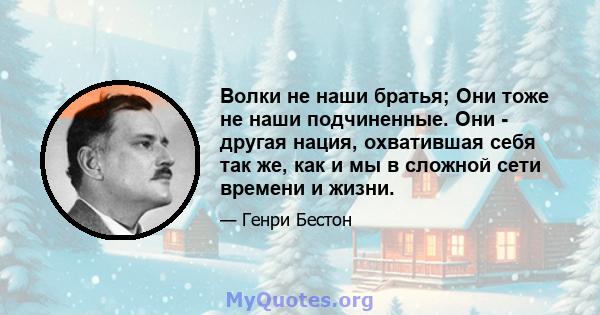 Волки не наши братья; Они тоже не наши подчиненные. Они - другая нация, охватившая себя так же, как и мы в сложной сети времени и жизни.