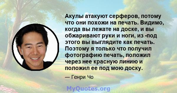 Акулы атакуют серферов, потому что они похожи на печать. Видимо, когда вы лежате на доске, и вы обжаривают руки и ноги, из -под этого вы выглядите как печать. Поэтому я только что получил фотографию печать, положил