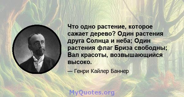 Что одно растение, которое сажает дерево? Один растения друга Солнца и неба; Один растения флаг Бриза свободны; Вал красоты, возвышающийся высоко.