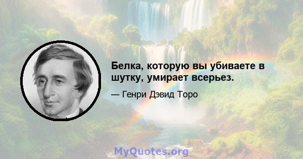 Белка, которую вы убиваете в шутку, умирает всерьез.