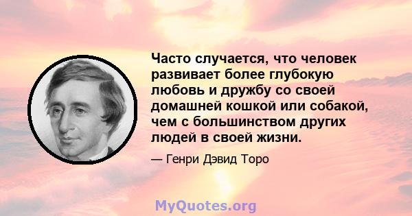 Часто случается, что человек развивает более глубокую любовь и дружбу со своей домашней кошкой или собакой, чем с большинством других людей в своей жизни.