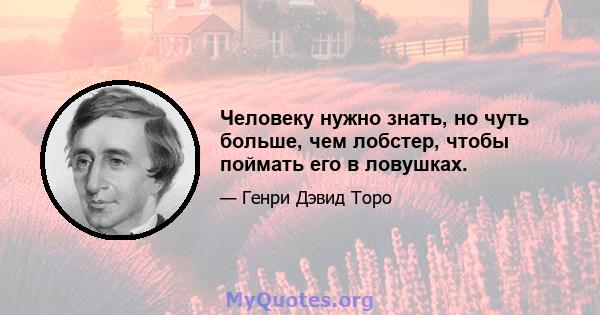 Человеку нужно знать, но чуть больше, чем лобстер, чтобы поймать его в ловушках.