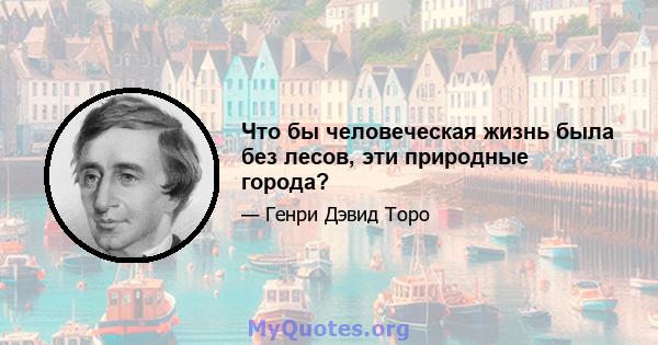 Что бы человеческая жизнь была без лесов, эти природные города?