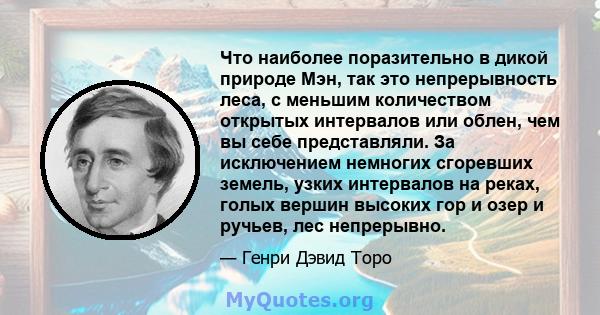 Что наиболее поразительно в дикой природе Мэн, так это непрерывность леса, с меньшим количеством открытых интервалов или облен, чем вы себе представляли. За исключением немногих сгоревших земель, узких интервалов на