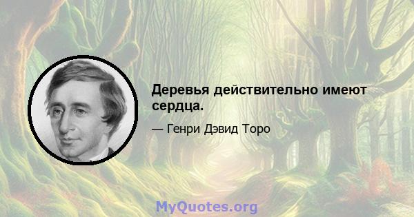 Деревья действительно имеют сердца.