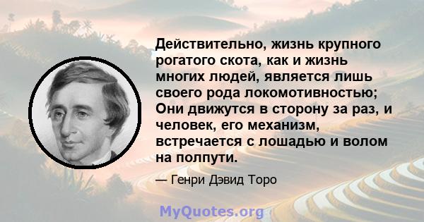 Действительно, жизнь крупного рогатого скота, как и жизнь многих людей, является лишь своего рода локомотивностью; Они движутся в сторону за раз, и человек, его механизм, встречается с лошадью и волом на полпути.