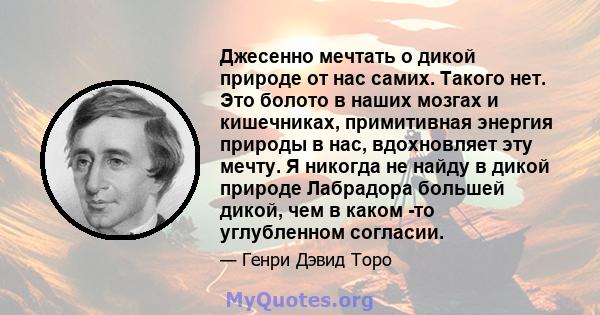 Джесенно мечтать о дикой природе от нас самих. Такого нет. Это болото в наших мозгах и кишечниках, примитивная энергия природы в нас, вдохновляет эту мечту. Я никогда не найду в дикой природе Лабрадора большей дикой,