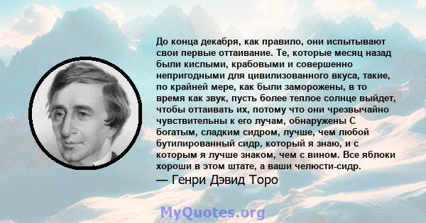 До конца декабря, как правило, они испытывают свои первые оттаивание. Те, которые месяц назад были кислыми, крабовыми и совершенно непригодными для цивилизованного вкуса, такие, по крайней мере, как были заморожены, в