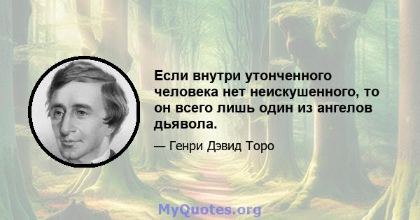 Если внутри утонченного человека нет неискушенного, то он всего лишь один из ангелов дьявола.