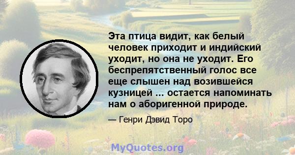 Эта птица видит, как белый человек приходит и индийский уходит, но она не уходит. Его беспрепятственный голос все еще слышен над возившейся кузницей ... остается напоминать нам о аборигенной природе.