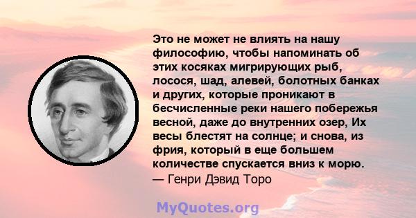 Это не может не влиять на нашу философию, чтобы напоминать об этих косяках мигрирующих рыб, лосося, шад, алевей, болотных банках и других, которые проникают в бесчисленные реки нашего побережья весной, даже до