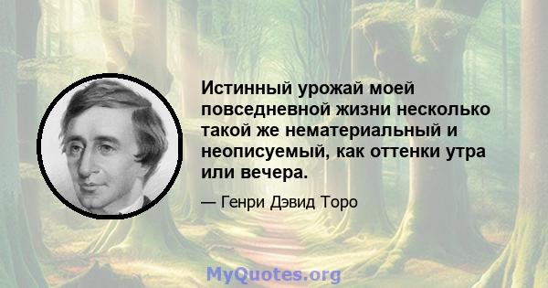 Истинный урожай моей повседневной жизни несколько такой же нематериальный и неописуемый, как оттенки утра или вечера.