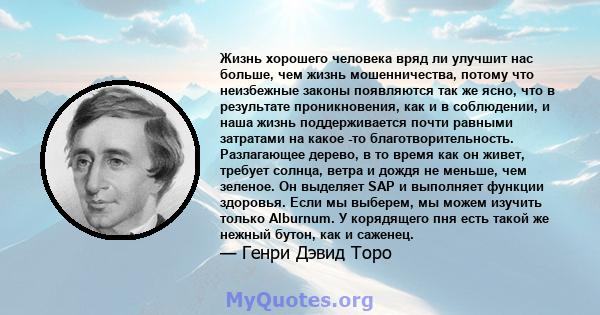 Жизнь хорошего человека вряд ли улучшит нас больше, чем жизнь мошенничества, потому что неизбежные законы появляются так же ясно, что в результате проникновения, как и в соблюдении, и наша жизнь поддерживается почти