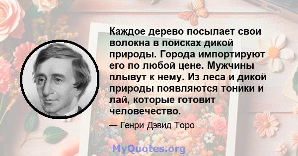 Каждое дерево посылает свои волокна в поисках дикой природы. Города импортируют его по любой цене. Мужчины плывут к нему. Из леса и дикой природы появляются тоники и лай, которые готовит человечество.