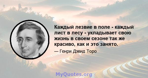 Каждый лезвие в поле - каждый лист в лесу - укладывает свою жизнь в своем сезоне так же красиво, как и это занято.