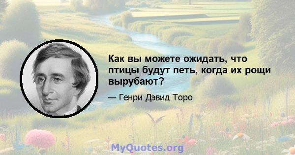 Как вы можете ожидать, что птицы будут петь, когда их рощи вырубают?