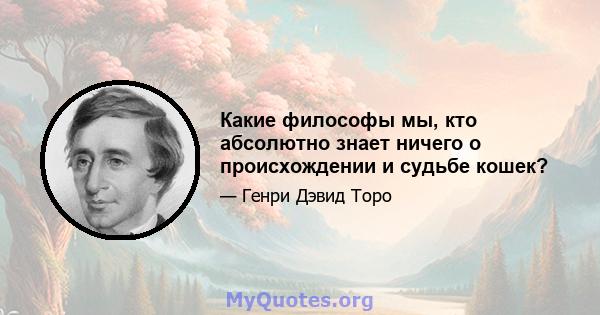 Какие философы мы, кто абсолютно знает ничего о происхождении и судьбе кошек?