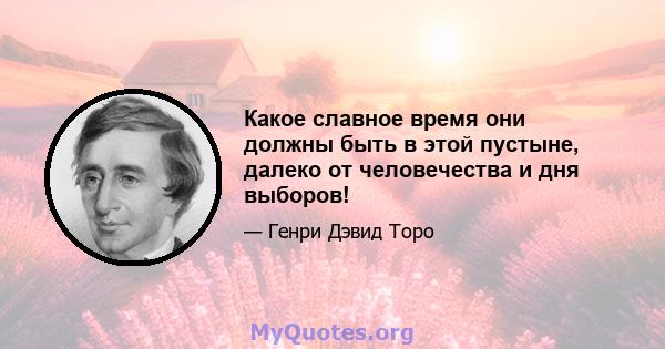 Какое славное время они должны быть в этой пустыне, далеко от человечества и дня выборов!