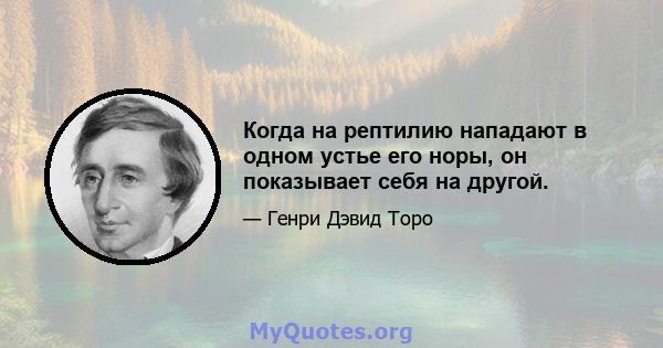 Когда на рептилию нападают в одном устье его норы, он показывает себя на другой.