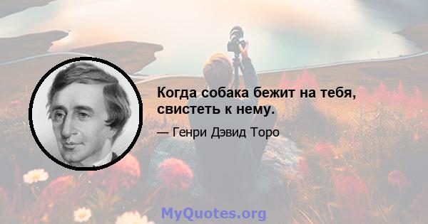 Когда собака бежит на тебя, свистеть к нему.