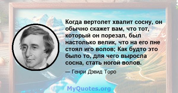 Когда вертолет хвалит сосну, он обычно скажет вам, что тот, который он порезал, был настолько велик, что на его пне стоял иго волов; Как будто это было то, для чего выросла сосна, стать ногой волов.