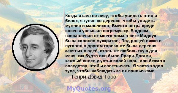 Когда я шел по лесу, чтобы увидеть птиц и белок, я гулял по деревне, чтобы увидеть мужчин и мальчиков; Вместо ветра среди сосен я услышал погремушку. В одном направлении от моего дома в реке Мидоуз была колония