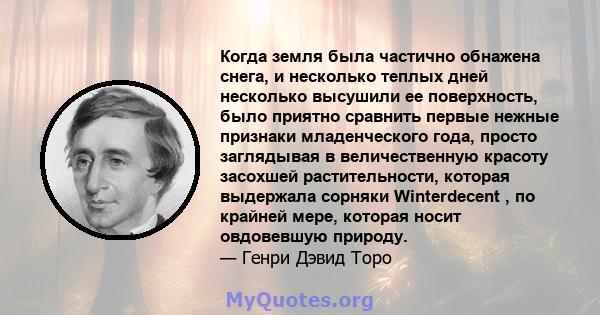 Когда земля была частично обнажена снега, и несколько теплых дней несколько высушили ее поверхность, было приятно сравнить первые нежные признаки младенческого года, просто заглядывая в величественную красоту засохшей